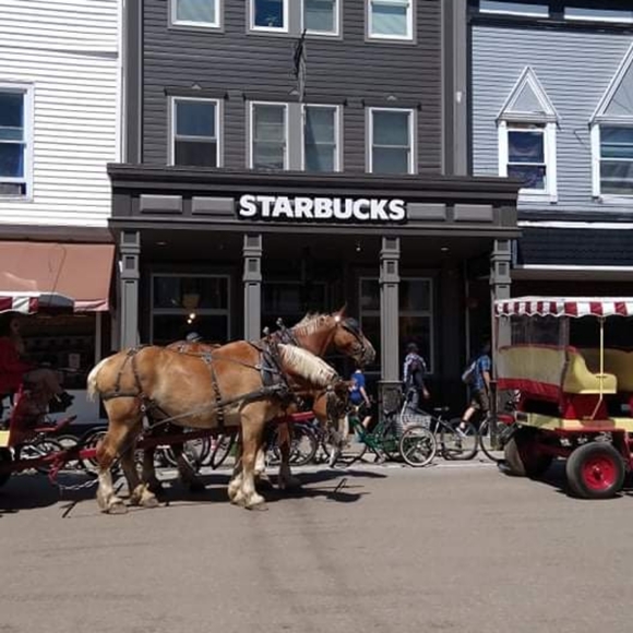 Meet your Posher!! - Picture 9 of 16